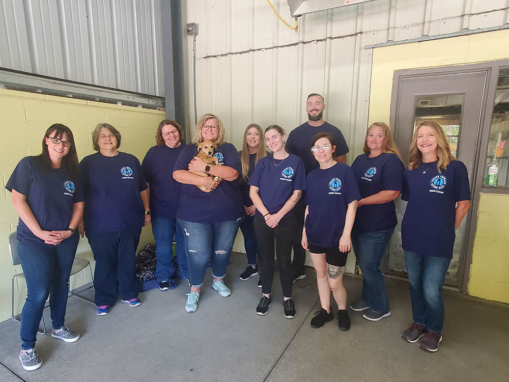 wayside waifs